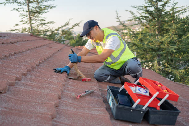 Best Commercial Roof Installation  in Alton, IA